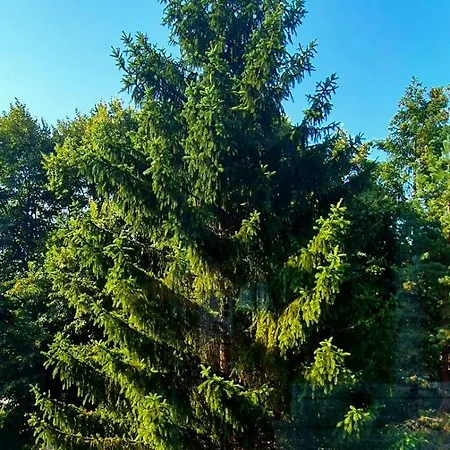 Stankovic Appartement